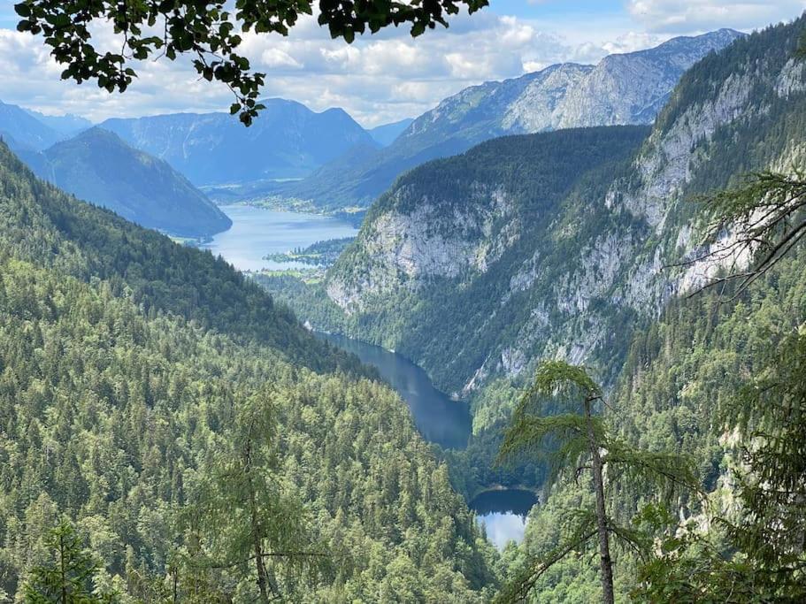 Alpenurlaub II Wohnung Mit Traumausblick Bad Mitterndorf Exteriör bild