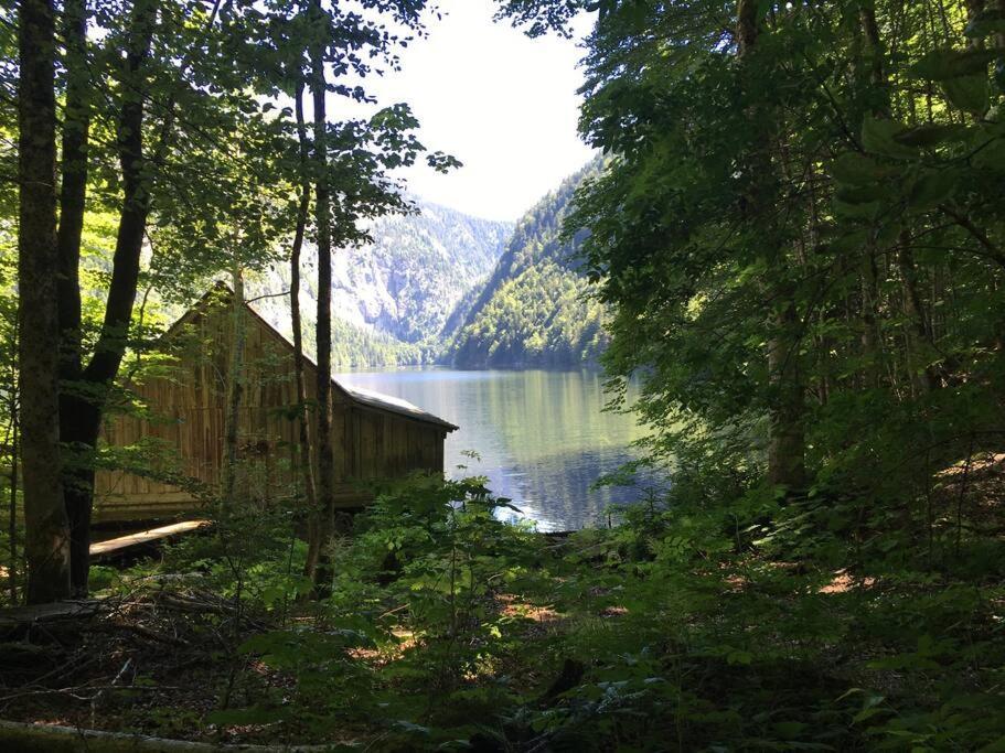 Alpenurlaub II Wohnung Mit Traumausblick Bad Mitterndorf Exteriör bild