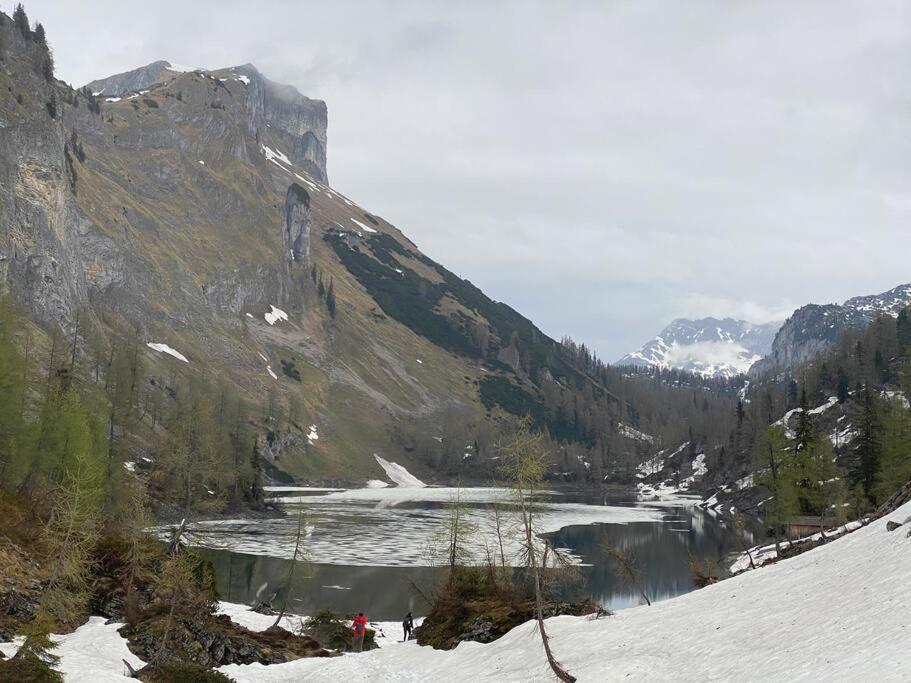 Alpenurlaub II Wohnung Mit Traumausblick Bad Mitterndorf Exteriör bild