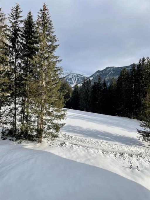 Alpenurlaub II Wohnung Mit Traumausblick Bad Mitterndorf Exteriör bild